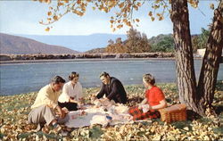 Picnic On Skyline Drive Postcard