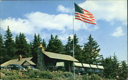 Skyline Restaurant, Route 9, Hogback Mountain Marlboro, VT Postcard 