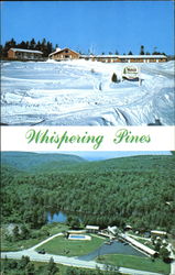 Whispering Pines, Motel and Ski Lodge Woodford, VT Postcard Postcard