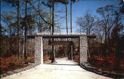 Azalea Gardens Postcard