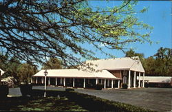 Lord Paget Motor Inn Postcard