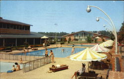 The Motor House Pool Postcard