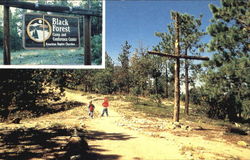 Black Forest Camp & Conference Center, 780 E. Baptist Rd Colorado Springs, CO Postcard Postcard