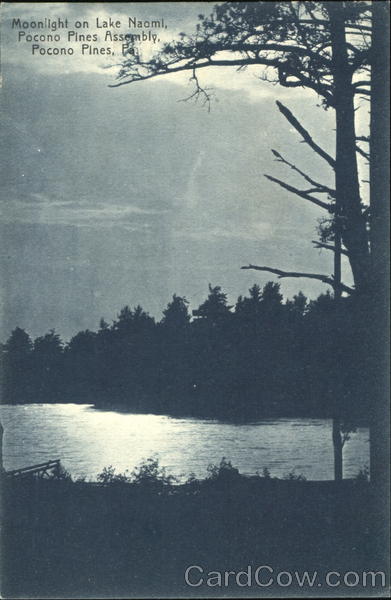 Moonlight On Lake Naomi, Pocono Pines Assembly Pennsylvania