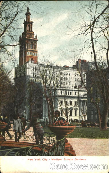 Madison Square Gardens New York City