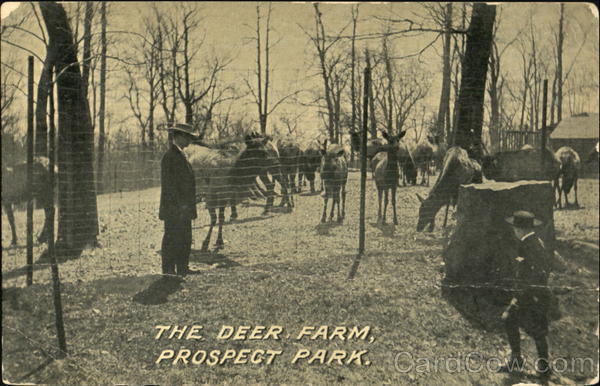The Deer Farm, Prospect Park