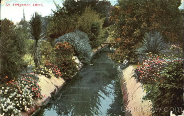 An Irrigation Ditch Scenic California