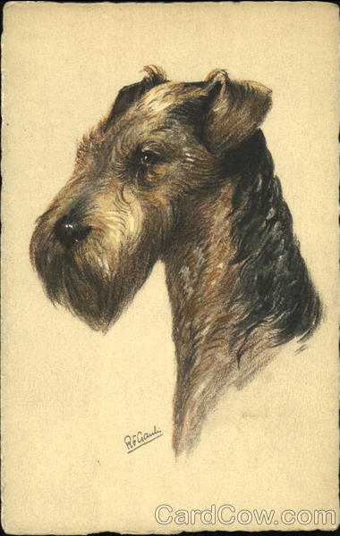 Airedale Terrier Dogs