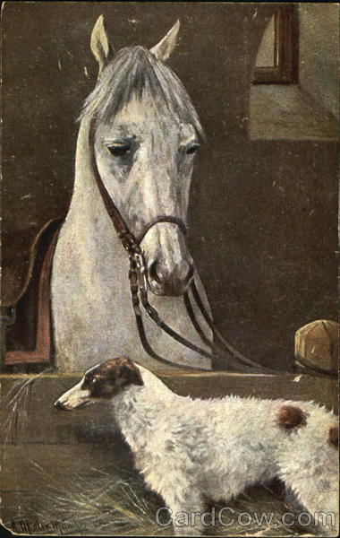 Horse & Dog Dogs