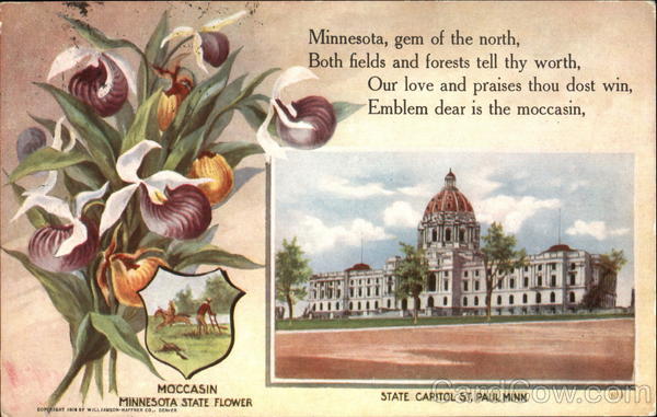 Moccasin Minnesota State Flower St. Paul