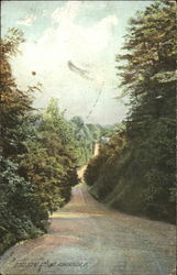 Road Scene At Gulf Postcard