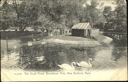 The Duck Pond, Brooklawn Park Postcard