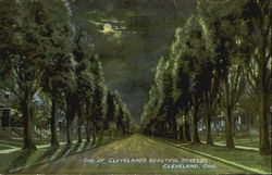 One Of Cleveland's Beautiful Streets Postcard