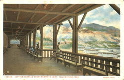 Jupiter Terrace From Mammoth Camp, Yellowstone Park Postcard