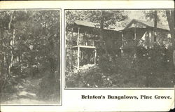 Brinton's Bungalows Pine Grove, PA Postcard Postcard