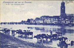 Riviergezicht Met Vee Bij Deventer Netherlands Benelux Countries Postcard Postcard