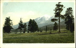 San Francisco Mountains Scenic, AZ Postcard Postcard