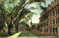 Yale Campus And Old South Middle Postcard