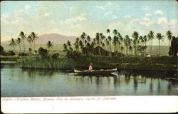 Waikea River Postcard