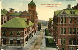 Johns Hopkin's University Postcard
