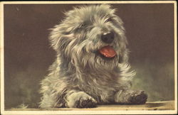 A Happy Dog Dogs Postcard Postcard