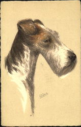 Wire-Haired Fox Terrier Drahthaar - Terrier Postcard