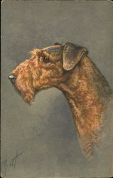 Airdale Terrier Postcard