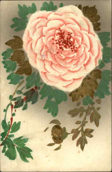 Pink flower with trailing green leaves Flowers