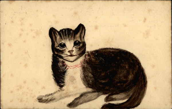 Grey and White Lying Cat Cats