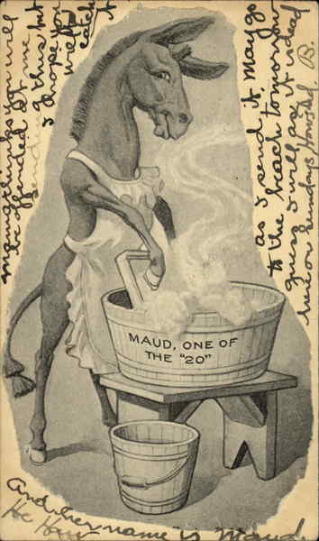 Donkey in an apron washing clothes Donkeys