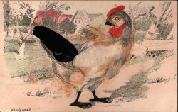 Chicken Postcard