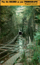 The Flume Gorge New Hampshire Records Postcard Postcard