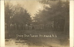 Shady Oak Lane, Rockland Postcard