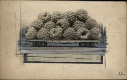 Rare Original Art - A Carload of Raspberries #2190 Exaggeration Original Photograph Original Photograph