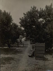 Stock #448221 Thumbnail