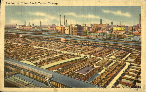 Section Of Union Stock Yards Chicago Illinois