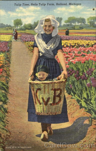 Tulip Time Nelis Tulip Farm Holland Michigan