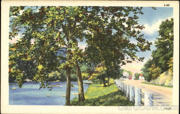 Road and River Scenic