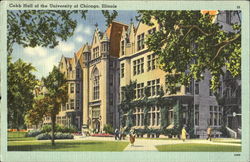 Cobb Hall Of The University Of Chicago Postcard