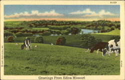 Greetings From Edina Missouri Postcard Postcard