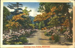 Greetings From Paris Postcard