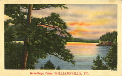 Greetings From Williamsville Postcard