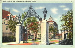 Hull Court Of The University Of Chicago Illinois Postcard Postcard