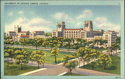 University Of Chicago Campus Postcard