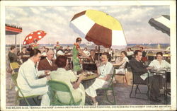 The Terrace And Roof Garden Restaurants And Soda Fountains Scenic, MI Postcard Postcard