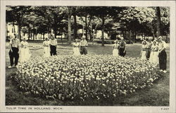 Tulip Time In Holland Postcard