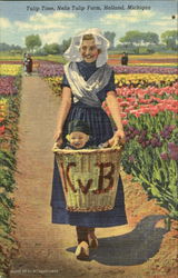 Tulip Time Nelis Tulip Farm Postcard