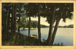 Scene On Hubbard Lake Postcard