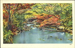 River Postcard