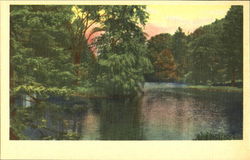 River Postcard